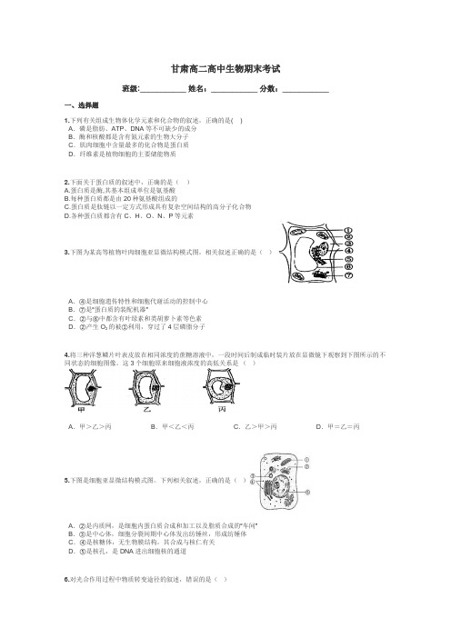 甘肃高二高中生物期末考试带答案解析
