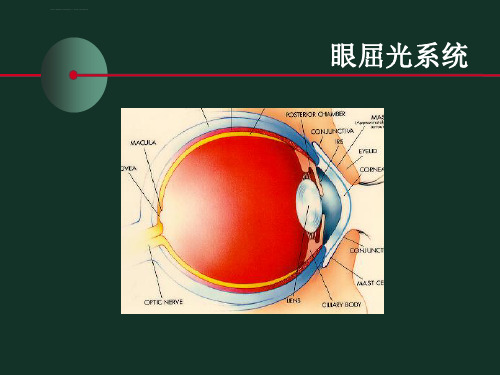 老视原理进修班ppt课件