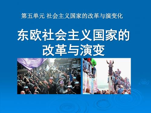 《东欧社会主义国家的改革与演变》社会主义国家的改革与演变化PPT课件5