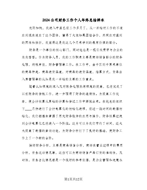2024公司财务工作个人年终总结样本(5篇)