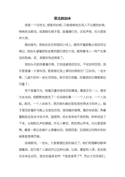 六年级作文:思念的泪水作文600字