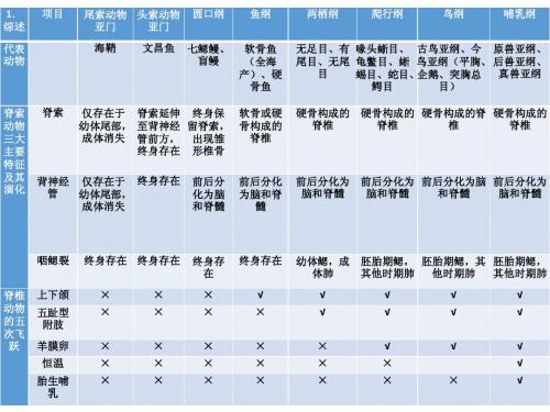 脊椎动物比较解剖