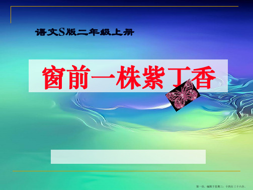 2022语文S版语文二上《窗前一株紫丁香》ppt课件