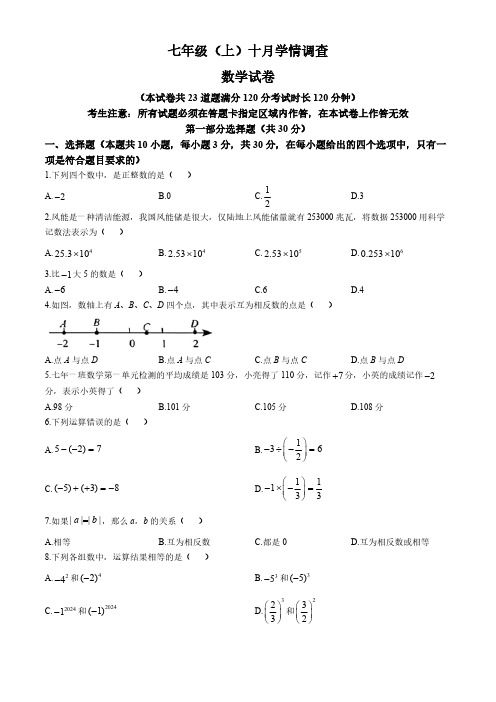 辽宁省大连市金普新区2024-2025学年上学期七年级数学10月月考卷(含答案)