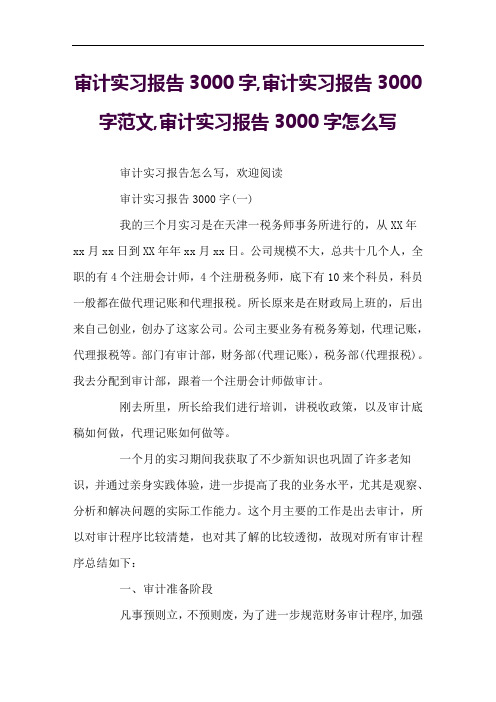 审计实习报告3000字,审计实习报告3000字范文,审计实习报告3000字怎么写