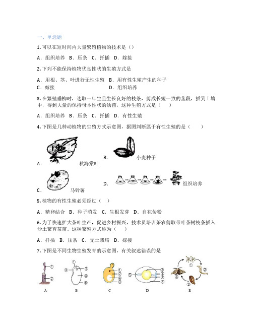 北师大版生物 八年级上册 第3节 植物的生殖方式 课后练习题