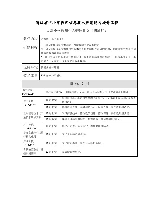 大禹小学教师个人研修计划(胡灿烂)