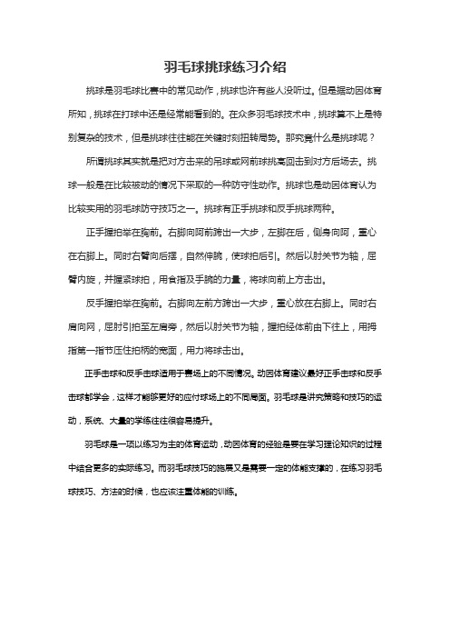 羽毛球挑球练习介绍