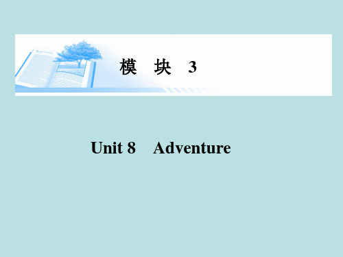 2015届高考英语总复习Unit 8 Adventure精讲课件 北师大版必修3