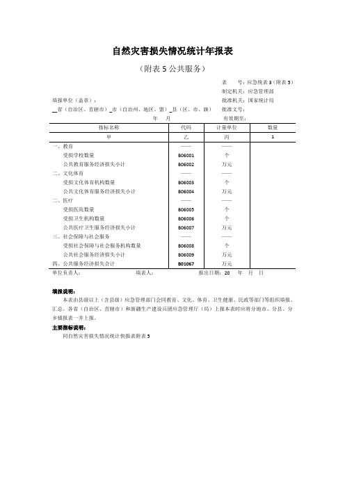 自然灾害损失情况统计年报表(公共服务)2020版