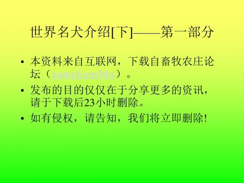 世界名犬介绍下——第一部分-精选文档