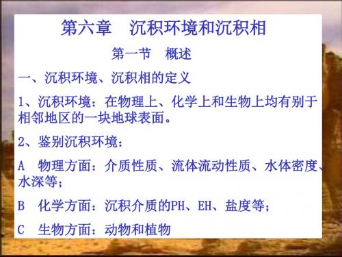 沉积环境和沉积相