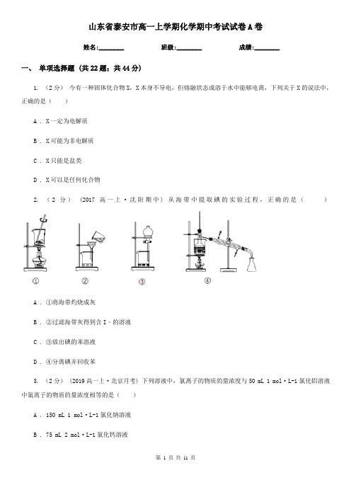 山东省泰安市高一上学期化学期中考试试卷A卷(精编)