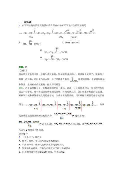 《常考题》初中高中化学选修三第四章《生物大分子》习题(含答案解析)