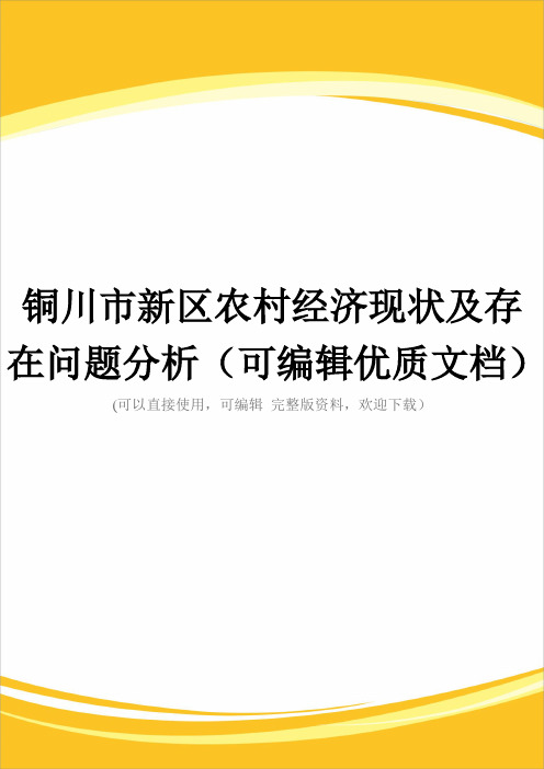 铜川市新区农村经济现状及存在问题分析(可编辑优质文档)