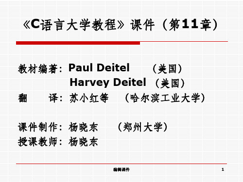 C语言大学教程C语言第11章