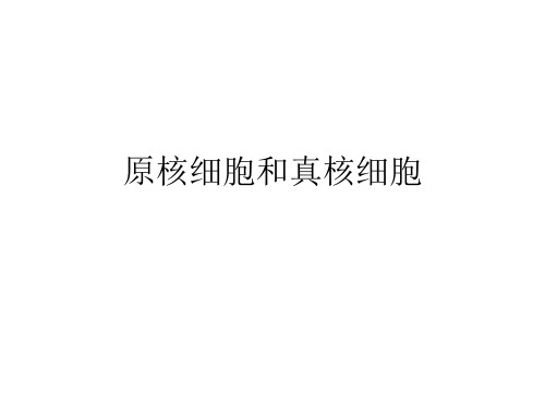 原核细胞和真核细胞PPT课件