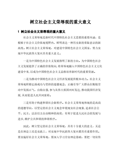 树立社会主义荣辱观的重大意义