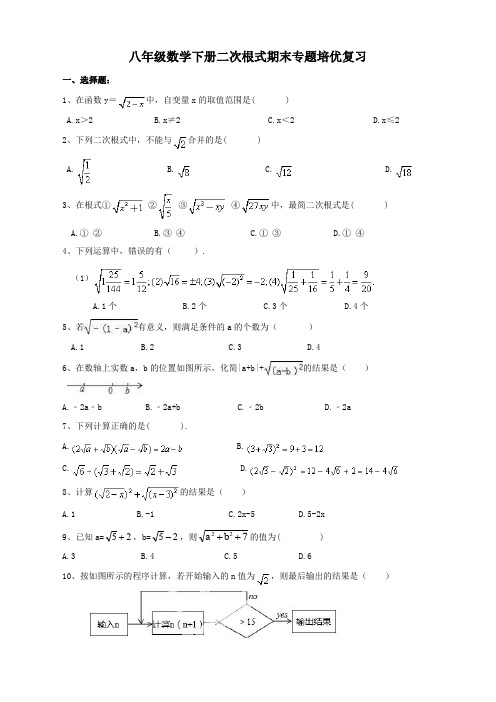 人教版八年级数学下《二次根式》期末专题复习附答案【提优首选】