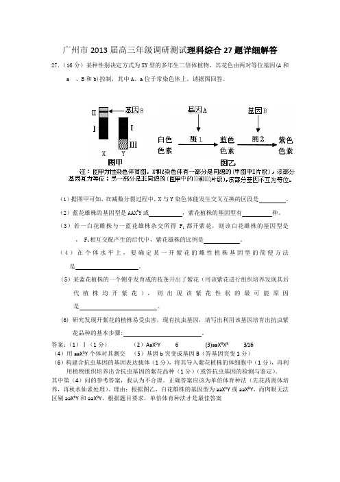 广州市2013届高三年级调研测试理科综合27题详细解答