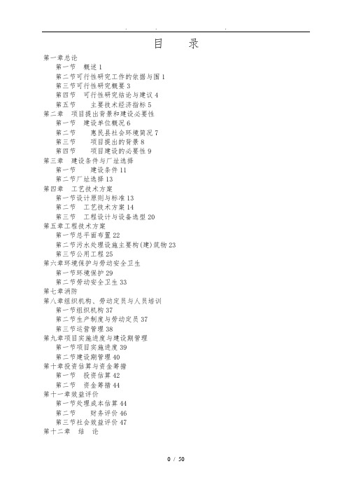 洁净型煤项目可行性方案研究报告