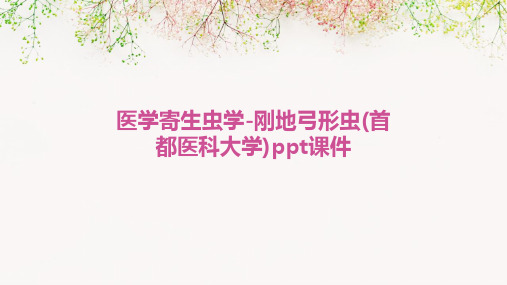 医学寄生虫学-刚地弓形虫(首都医科大学)PPT课件