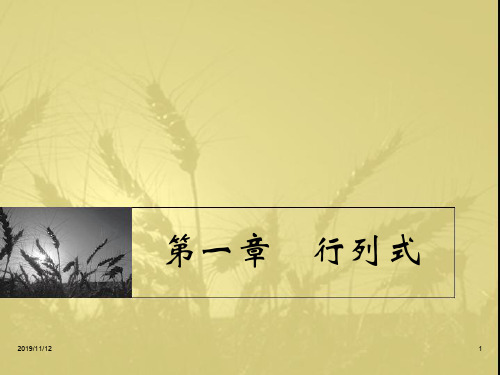 武汉大学线性代数-01 第一章