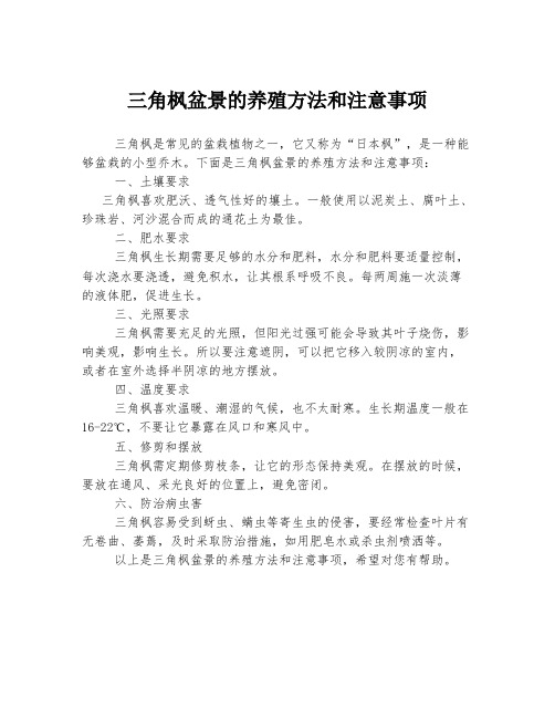 三角枫盆景的养殖方法和注意事项