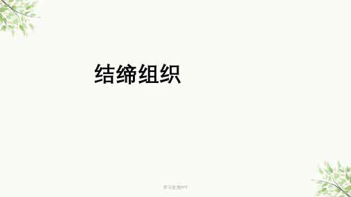 固有结缔组织医学课件