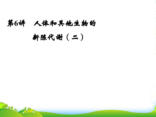 浙江省宁波市支点教育培训学校中考科学复习 第6讲 人体和其他生物的新陈代谢（二）课件 浙教版