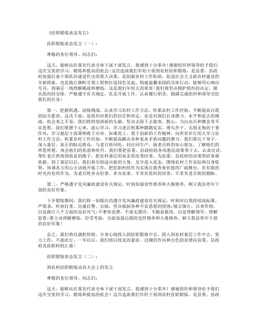 挂职锻炼表态发言6篇