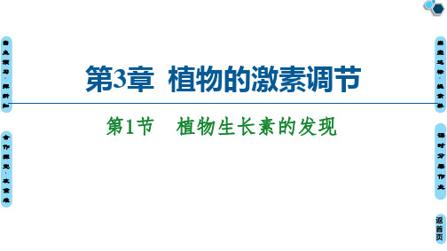 2021-2022学年高一生物人教版必修3课件：第3章 第1节 植物生长素的发现 