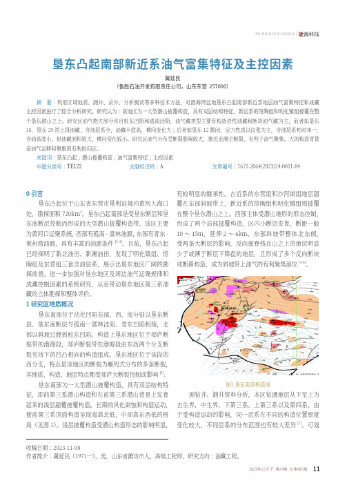 垦东凸起南部新近系油气富集特征及主控因素