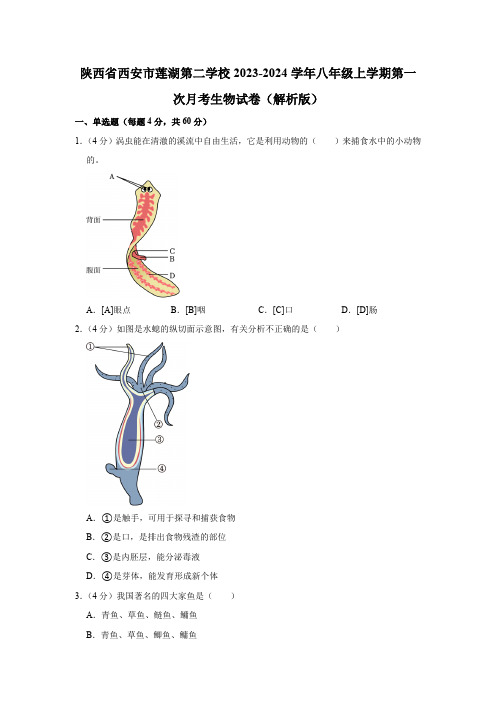 陕西省西安市莲湖第二学校2023-2024学年八年级上学期第一次月考生物试卷(含解析)