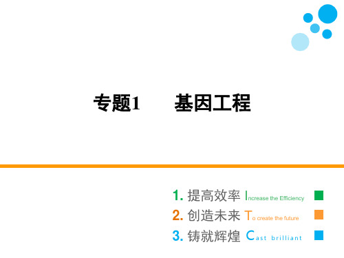 人教版选修三 专题1 1.2 基因工程的基本操作程序 课件(74张)