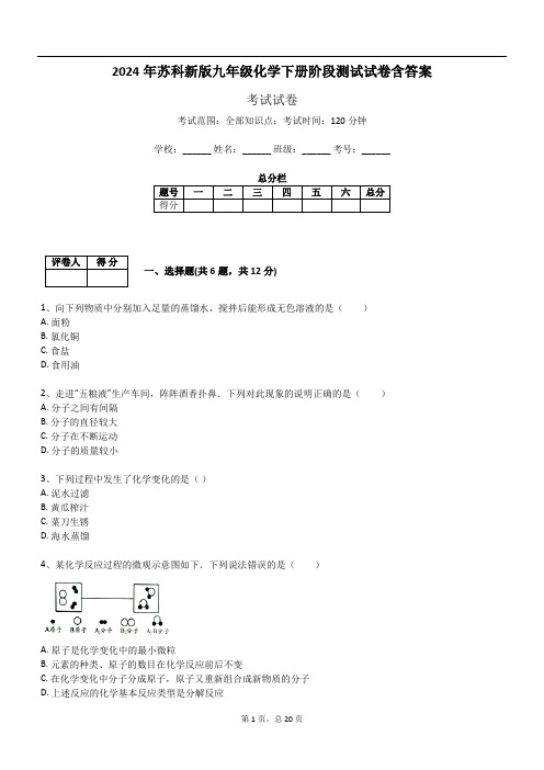 2024年苏科新版九年级化学下册阶段测试试卷含答案