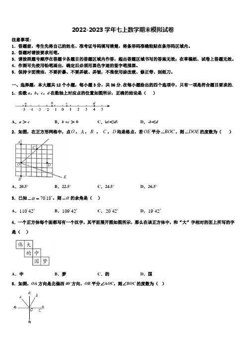 2022-2023学年安徽省阜阳市名校七年级数学第一学期期末质量检测模拟试题含解析