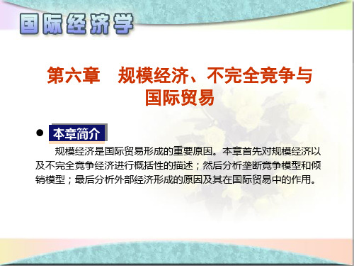 国际经济：第六章 规模经济、不完全竞争与国际贸易