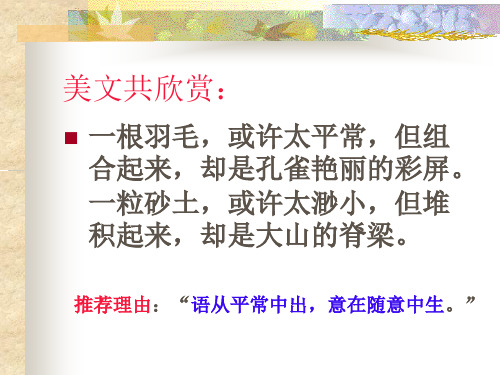 记叙文叙事-24页PPT资料