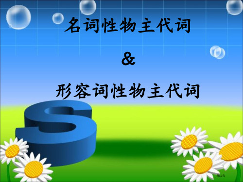 形容词性和名词性物主代词专项练习市公开课一等奖省赛课微课金奖PPT课件