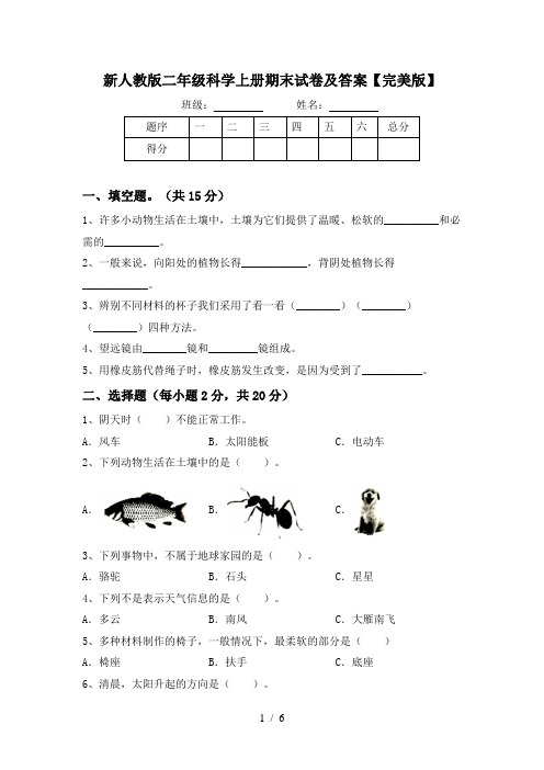 新人教版二年级科学上册期末试卷及答案【完美版】