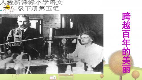 人教版小学语文六年级下册《18跨越百年的美丽》PPT课件 (9)