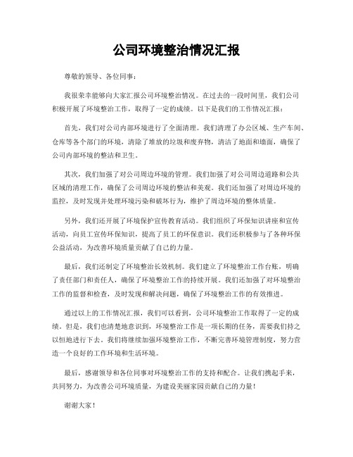 公司环境整治情况汇报