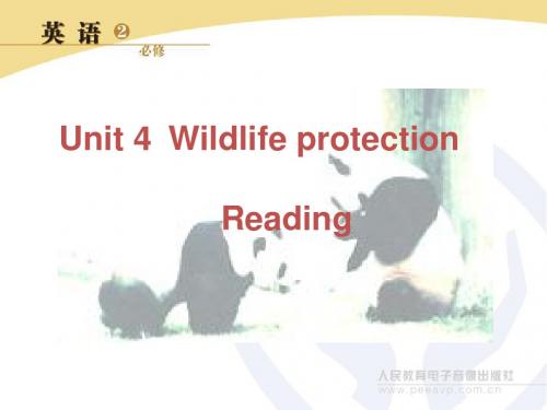 人教版高中英语必修二Unit_4_Wildlife_protection_Reading (3)