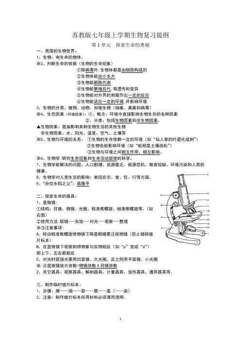 苏教版七年级上学期生物复习提纲