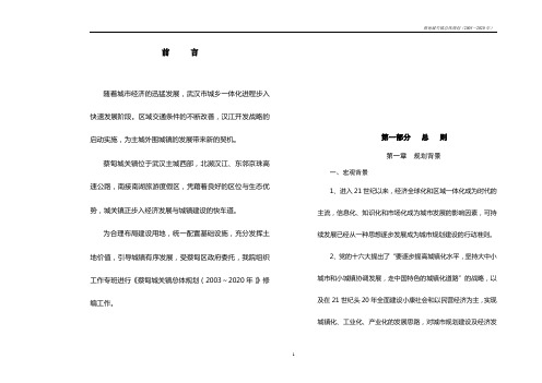 蔡甸城关镇总体规划