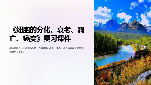 《细胞的分化、衰老、凋亡、癌变》复习课件