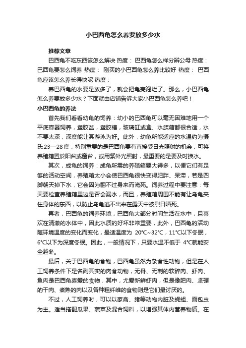 小巴西龟怎么养要放多少水