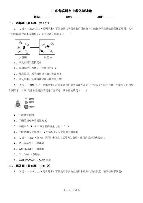 山东省滨州市中考化学试卷
