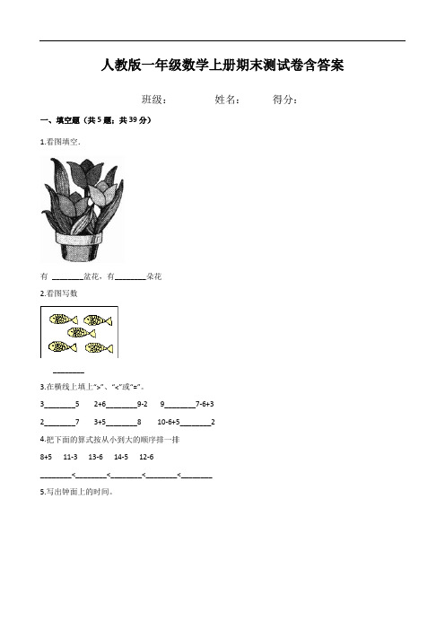 人教版一年级数学上册期末测试卷含答案